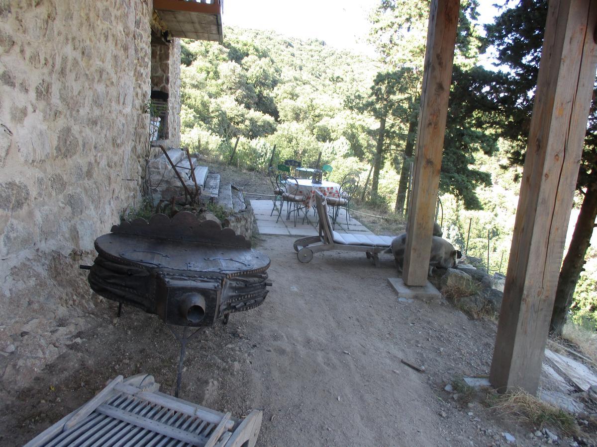 Bed and Breakfast Ferme des Combettes à Saint-Péray Extérieur photo